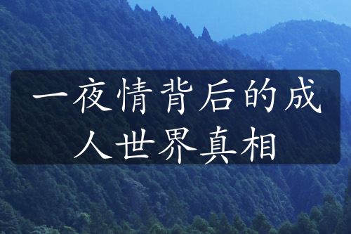 一夜情背后的成人世界真相