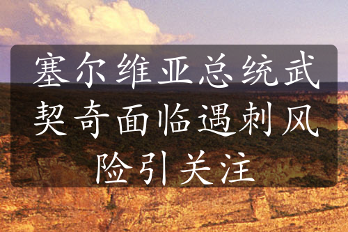 塞爾維亞總統(tǒng)武契奇面臨遇刺風(fēng)險(xiǎn)引關(guān)注